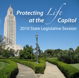 State Legislative Session Preview
