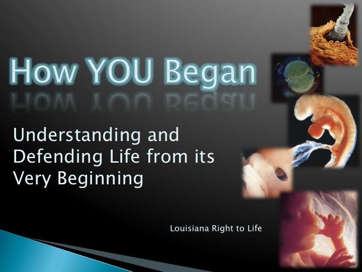 How You Began